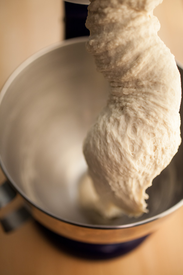 Wet pizza dough on Kitchen Aid stand mixer hook.