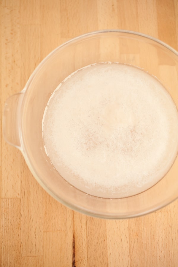 Yeast and water in small glass bowl.