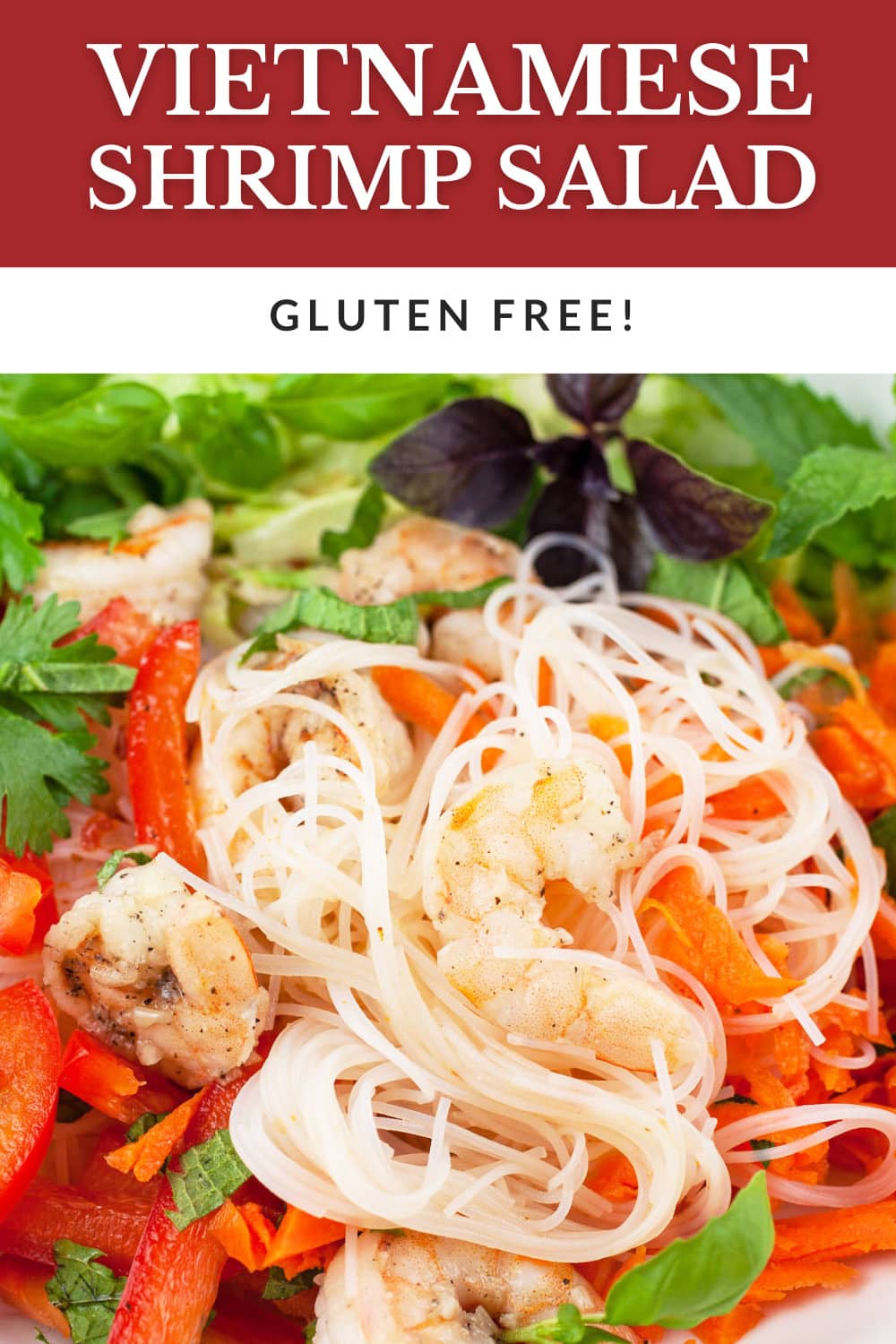 Vietnamese Shrimp Salad with Noodles | The Rustic Foodie®