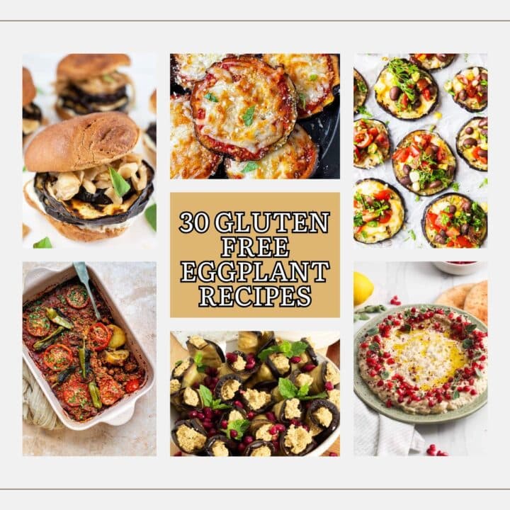 Assorted gluten free eggplant recipes.