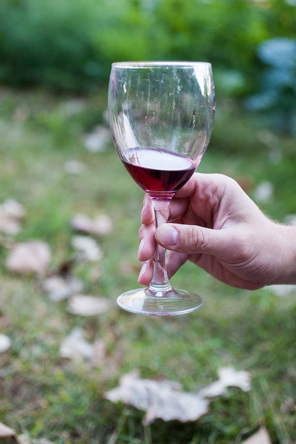 Hand holding wine glass with red wine in outdoor setting.