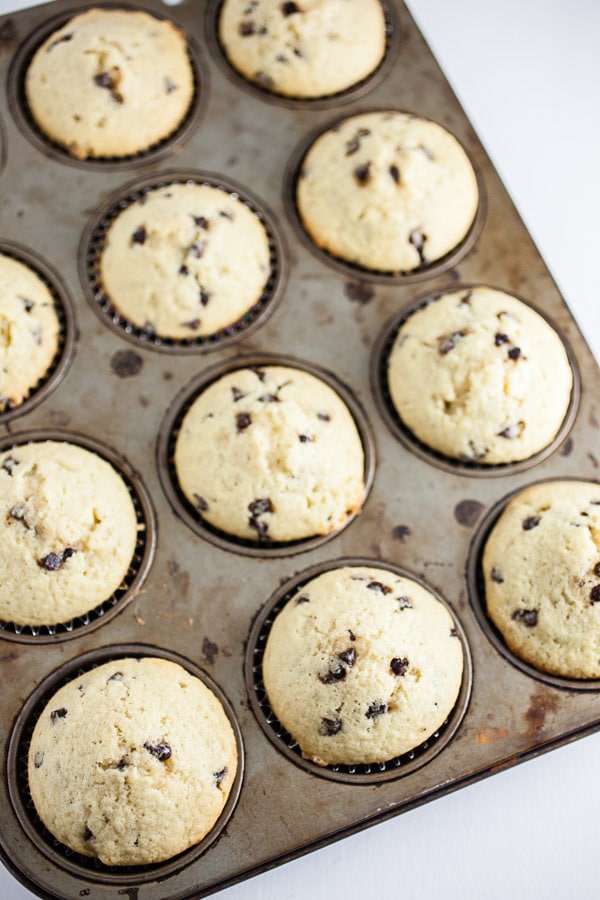 Baked chocolate chip cupcakes in muffin tin.