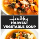 Healthy Harvest Vegetable Soup