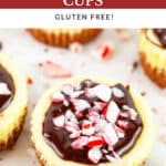 Peppermint cheesecake cups topped with chocolate ganache and crushed peppermint candies.