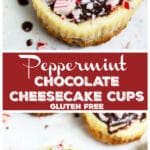 Peppermint Chocolate Cheesecake Cups