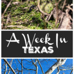 A Week In Texas #TheRusticFoodie