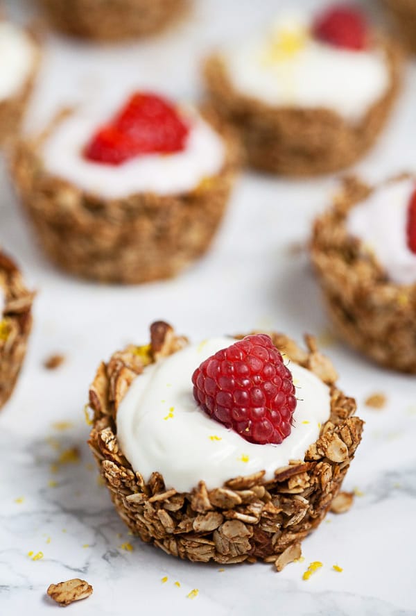 Oatmeal Yogurt Cups The Rustic Foodie®