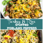 Turkey and Rice Stuffed Poblano Peppers