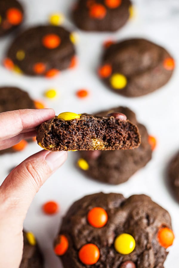 Fingers holding chocolate cookie cut in half.