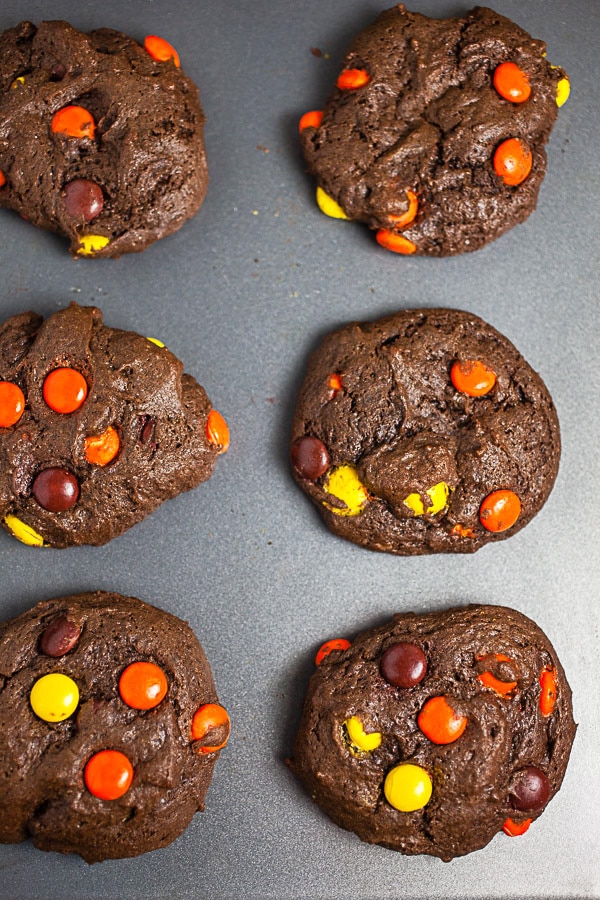 Chocolate cookies on metal baking sheet.
