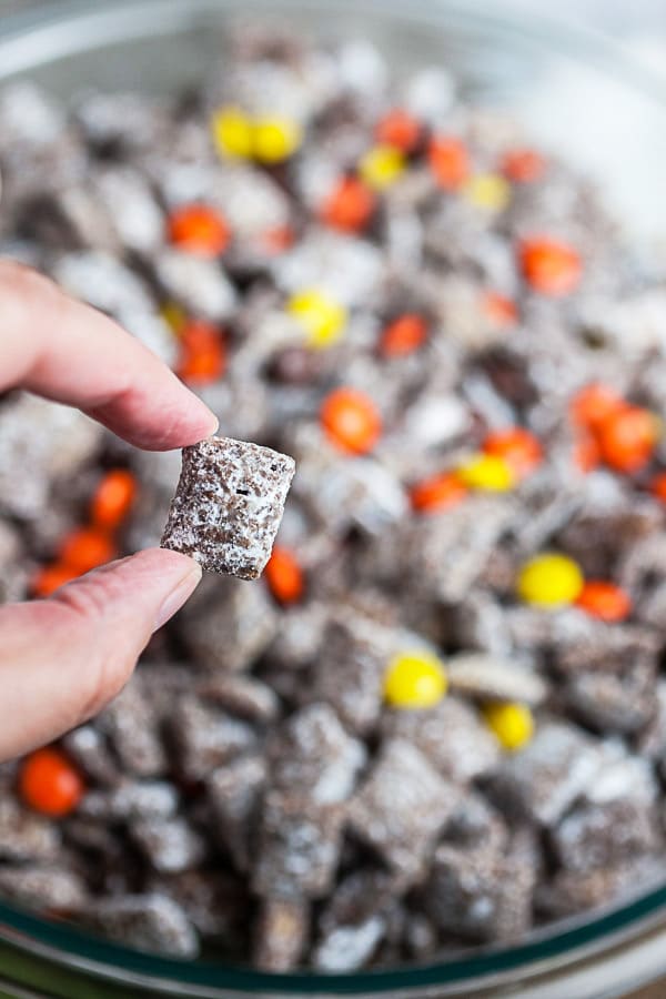 Fingers holding piece of puppy chow in front of large glass mixing bowl.