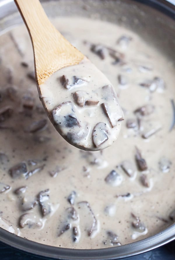 Spoonful of cream of mushroom soup lifted from skillet.