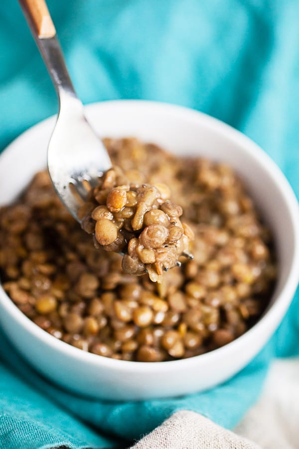 Forkful of cooked lentils lifted from small white bowl.