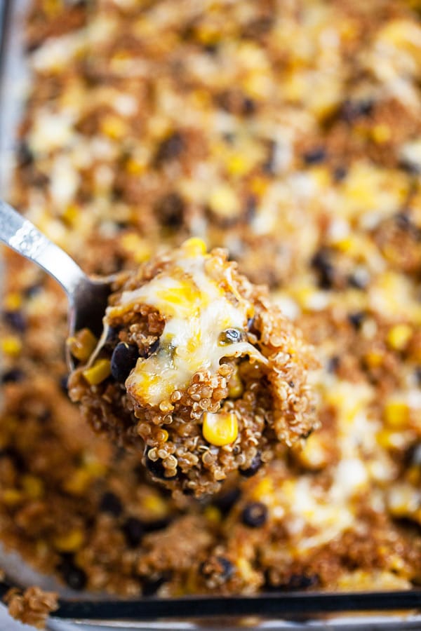 Scoop of cooked cheesy quinoa enchilada casserole lifted from glass baking dish on metal spoon.