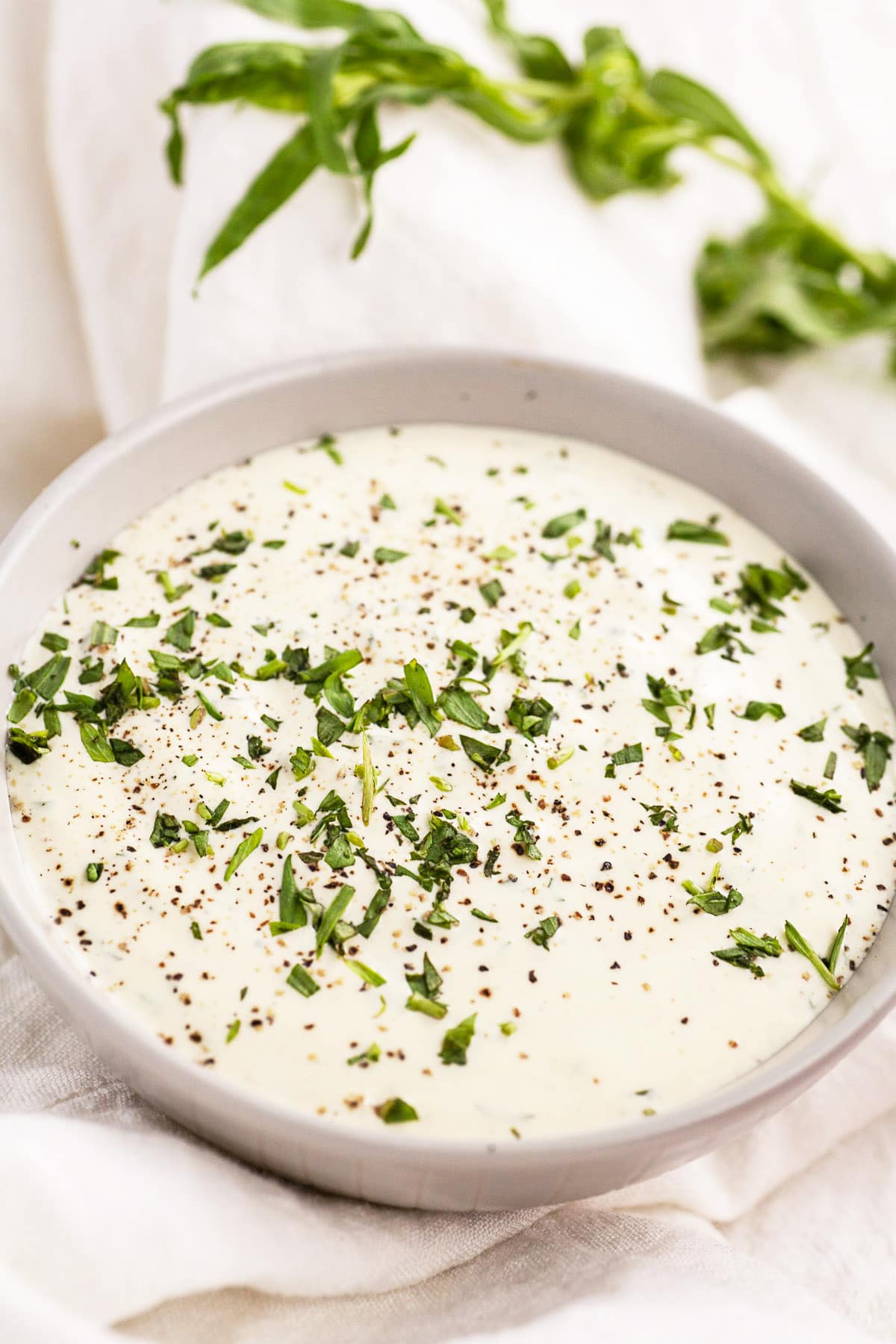 Creamy Lemon Tarragon Dipping Sauce The Rustic Foodie®
