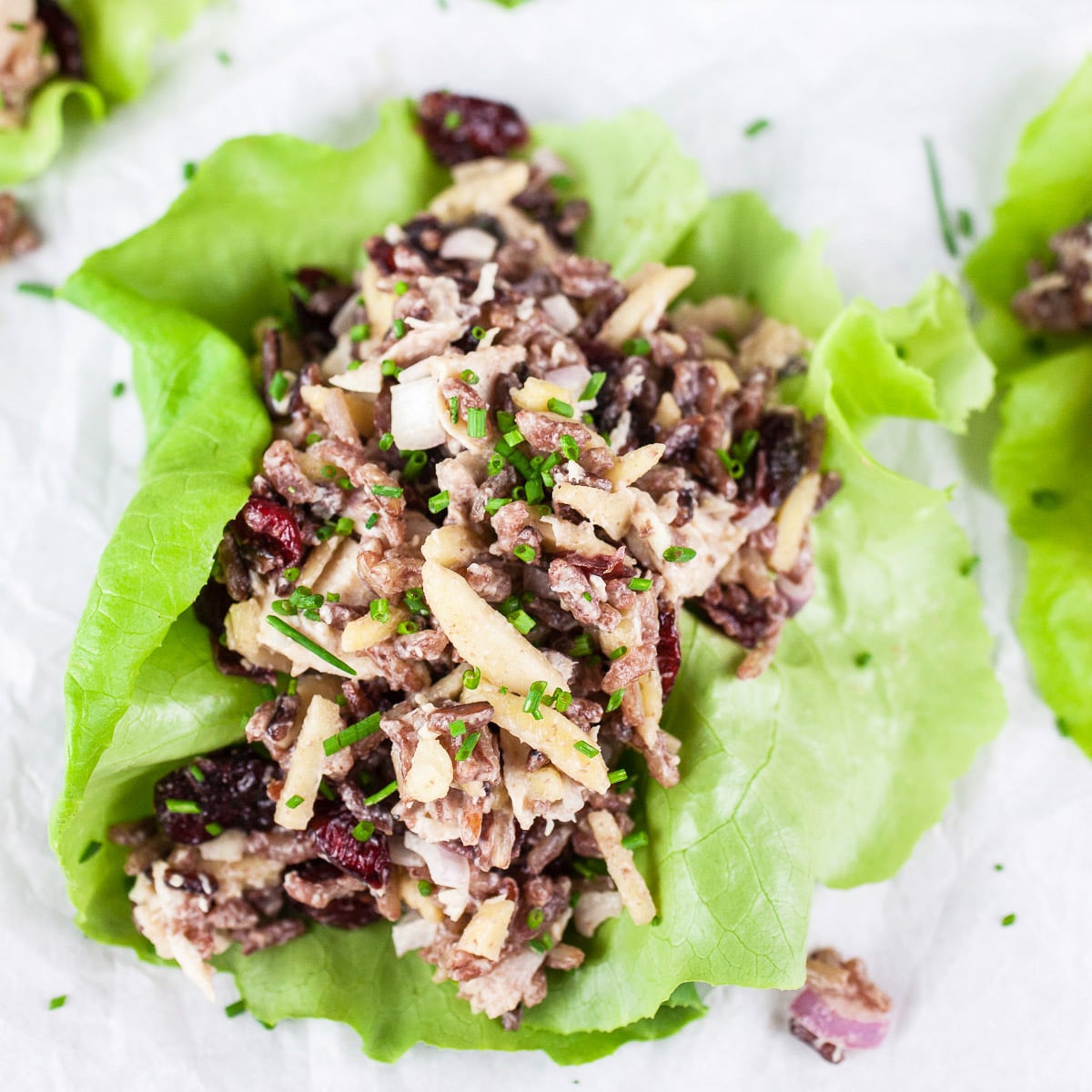 Wild Rice Chicken Salad with Cranberries - The Rustic Foodie