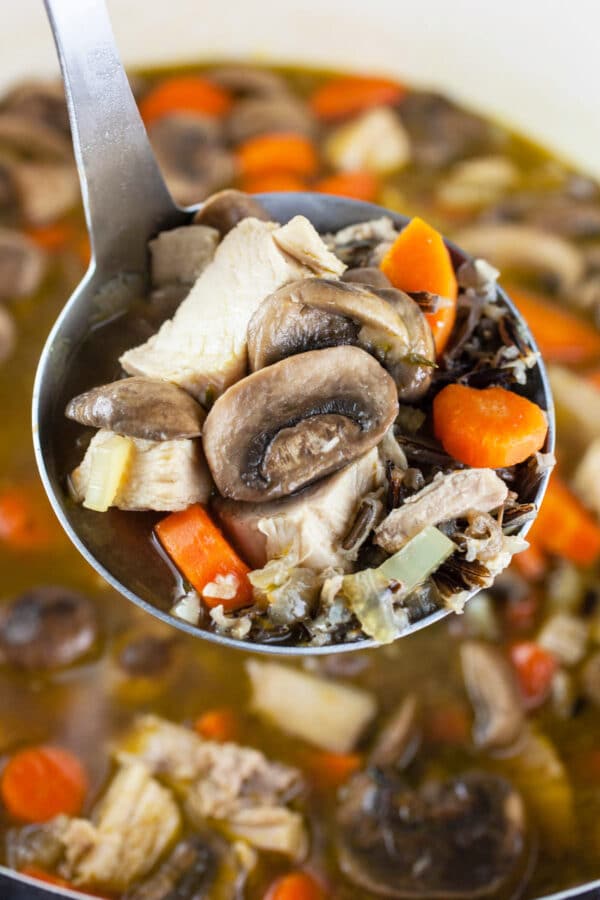 Soup ladle with cooked chunks of turkey, mushrooms, and carrots lifted from Dutch oven.