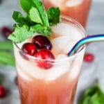 Cranberry apple cider ginger beer mocktail with fresh mint and cranberries in highball glass.