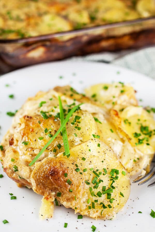 Gluten free au gratin potatoes on small white plate topped with fresh chives.