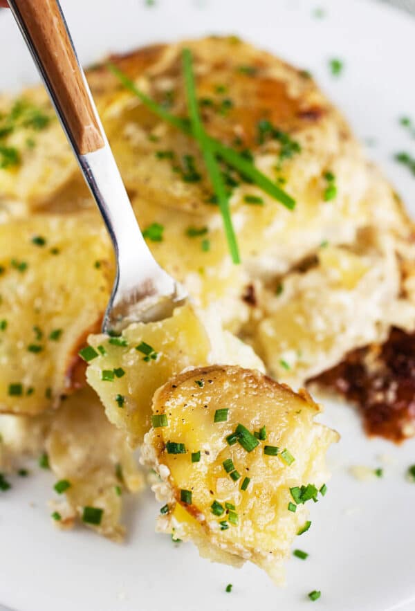 Forkful of au gratin potatoes lifted from small white plate.