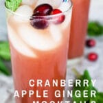 Cranberry-Apple-Cider-Ginger-Beer-Mint-Mockails