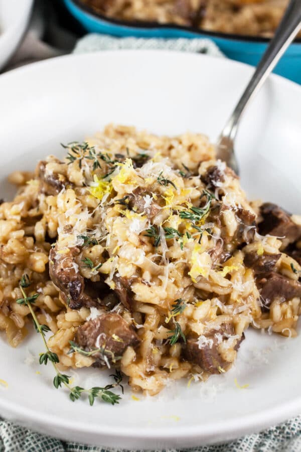 Short rib risotto in white bowl with fork.