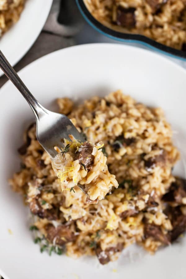 Forkful of short rib risotto lifted from white bowl.