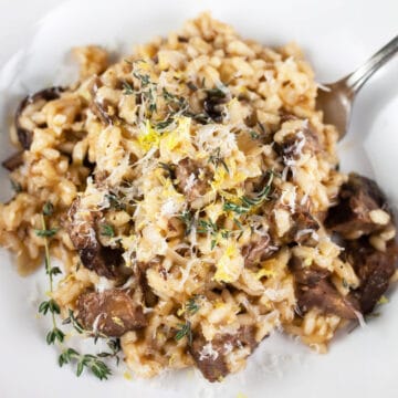 Beef short rib risotto in white bowl with fork.