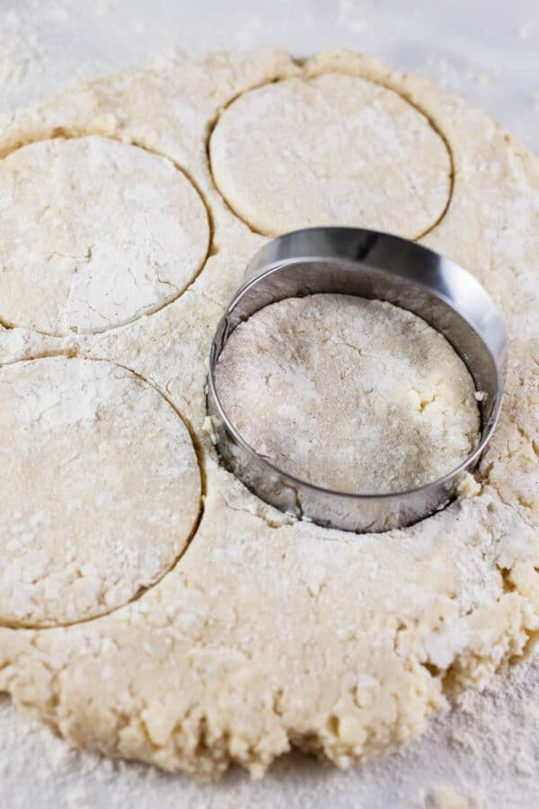 Rounds cut in dough with metal biscuit cutter.