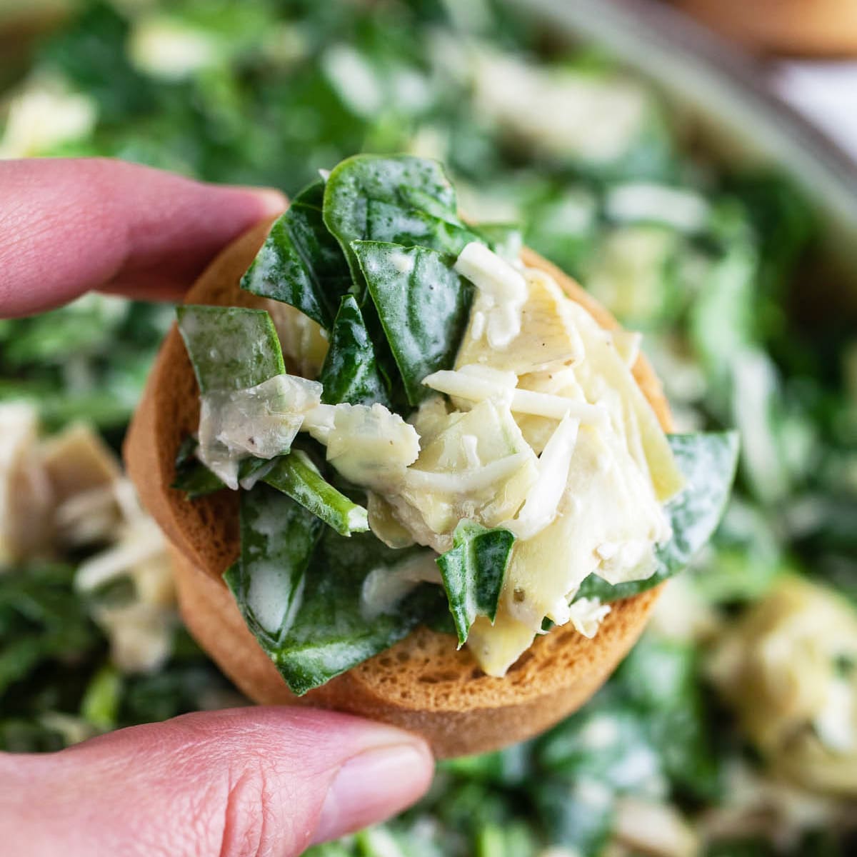 Cold Spinach Artichoke Dip The Rustic Foodie®