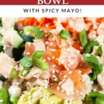 Smoked salmon rice bowl with spicy mayo.
