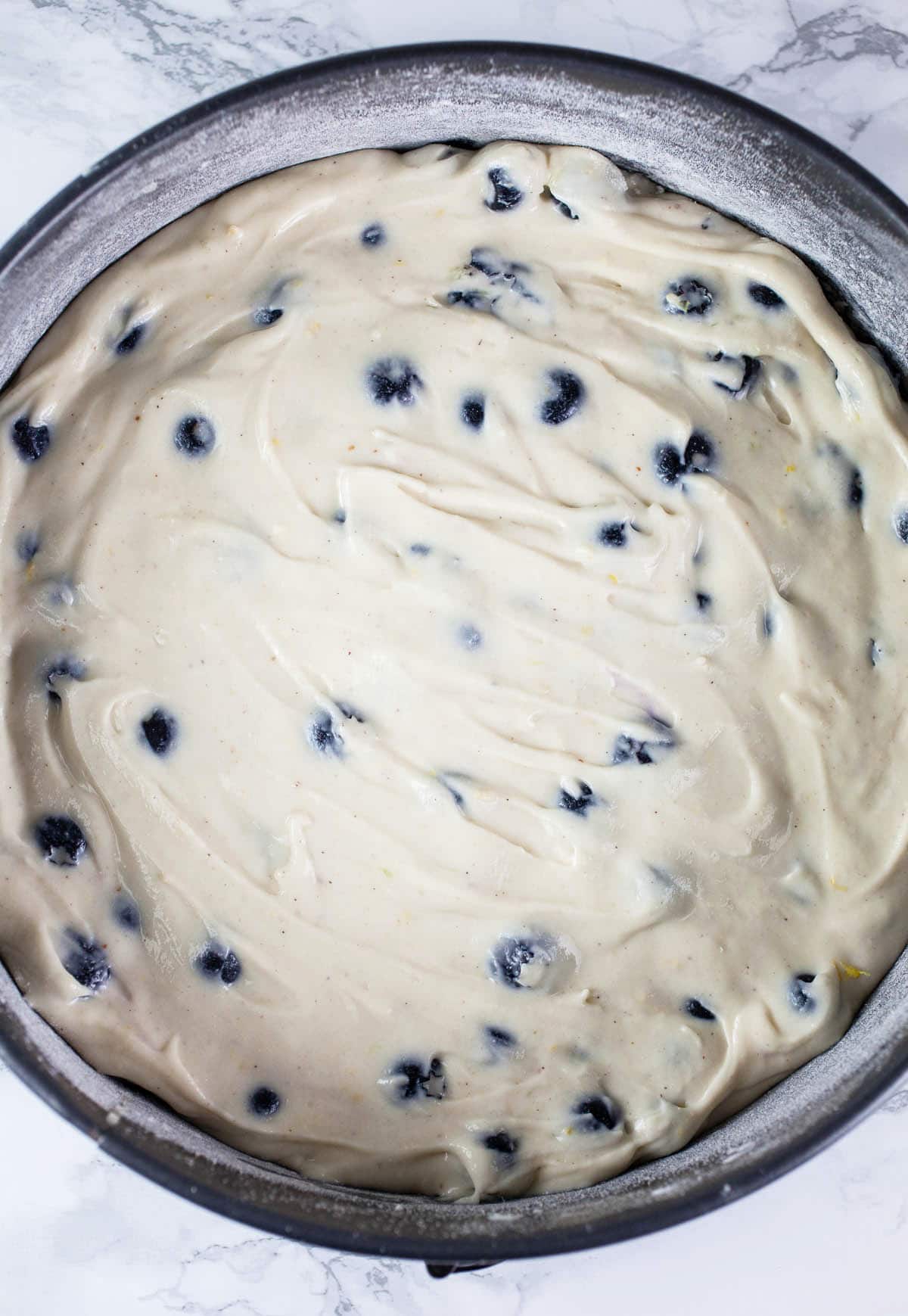 Blueberry cake batter in springform pan.