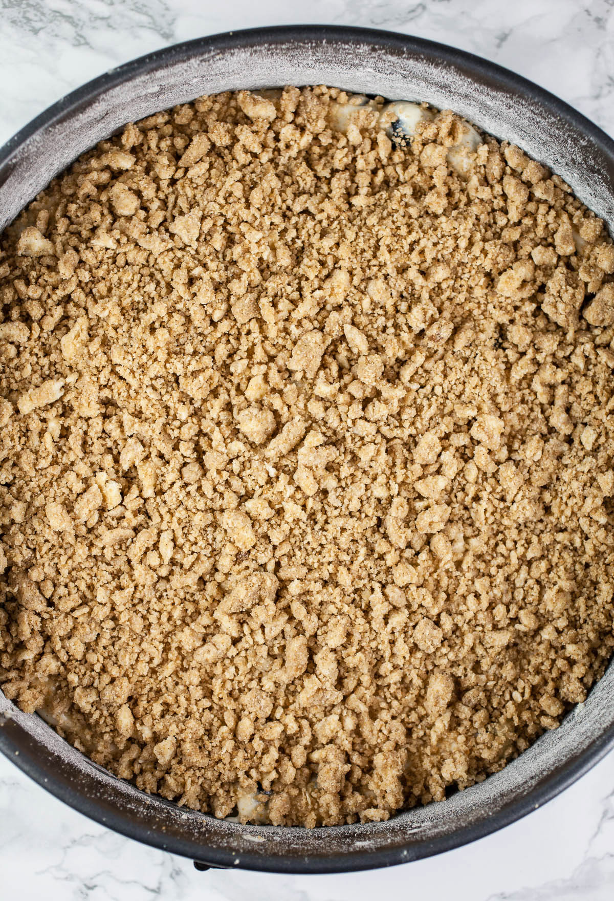 Unbaked blueberry coffee cake with streusel topping in springform pan.