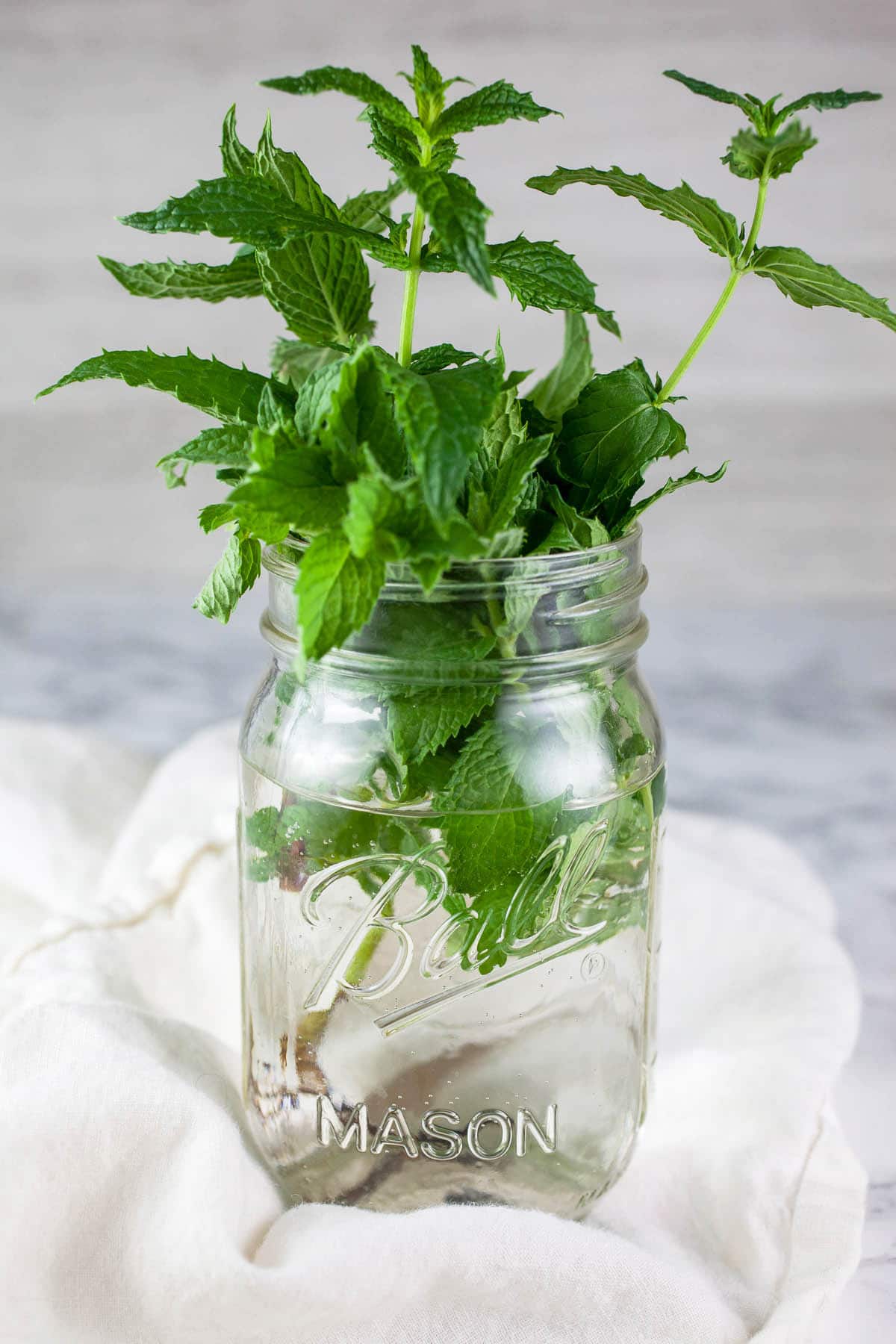 Fresh mint sprigs in mason jar with water on white towel.