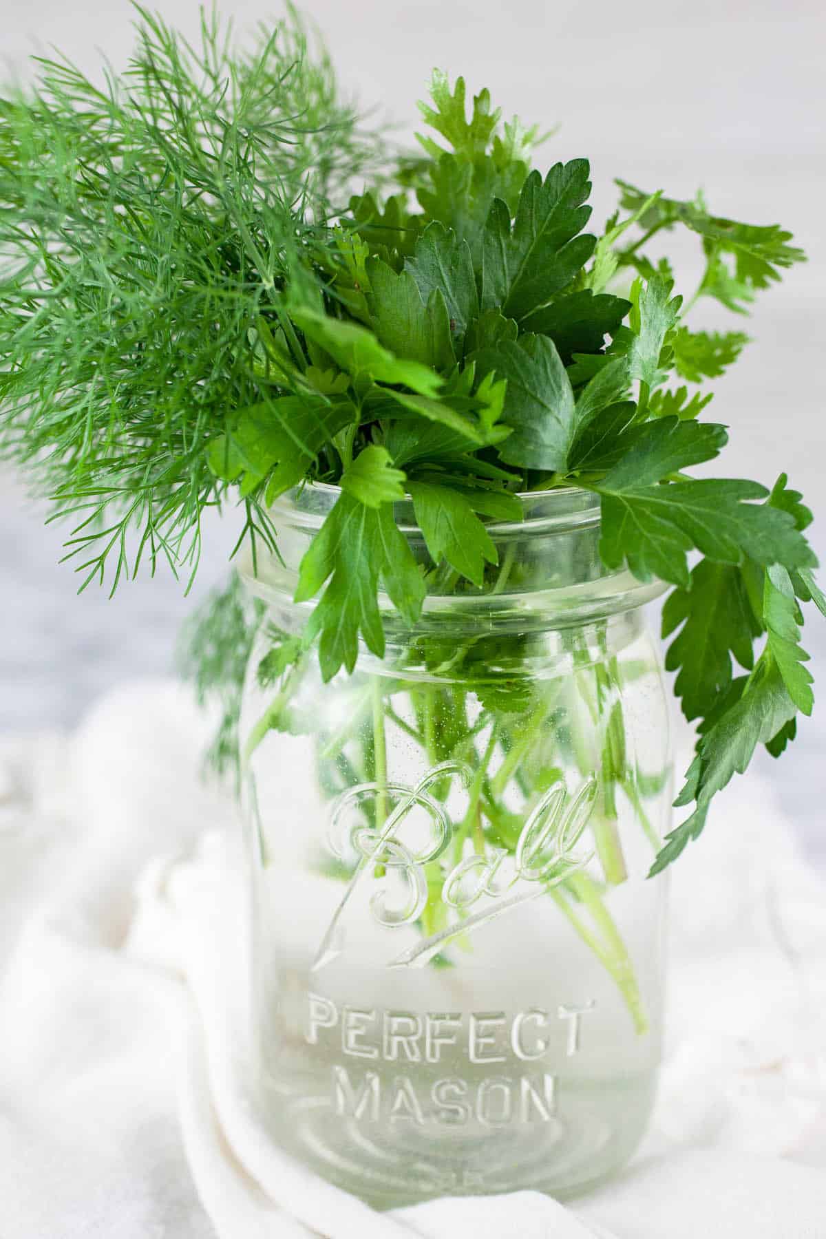 Fresh parsley, cilantro, and dill in mason jar on white towel.