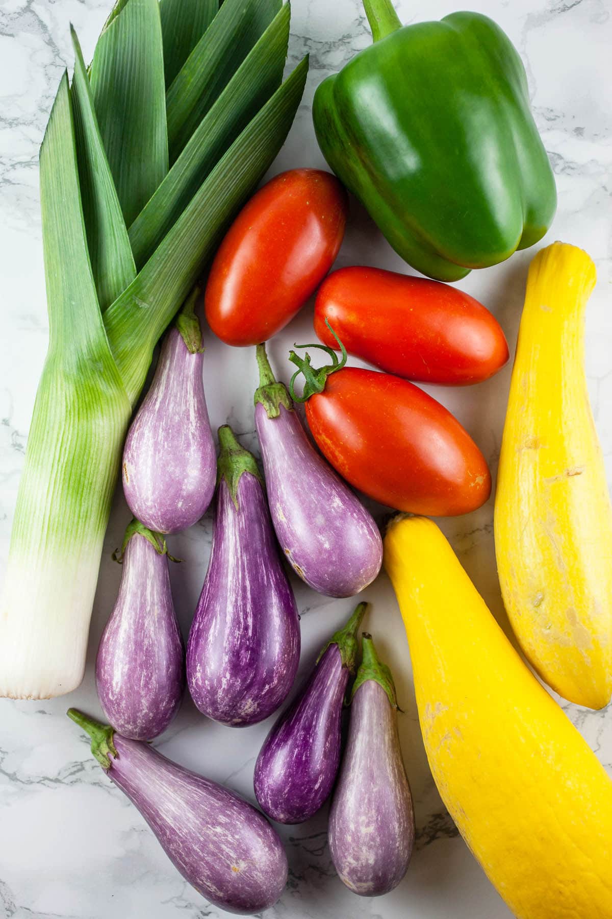 Fairy tale eggplant, leek, green bell pepper, tomatoes, and summer squash.