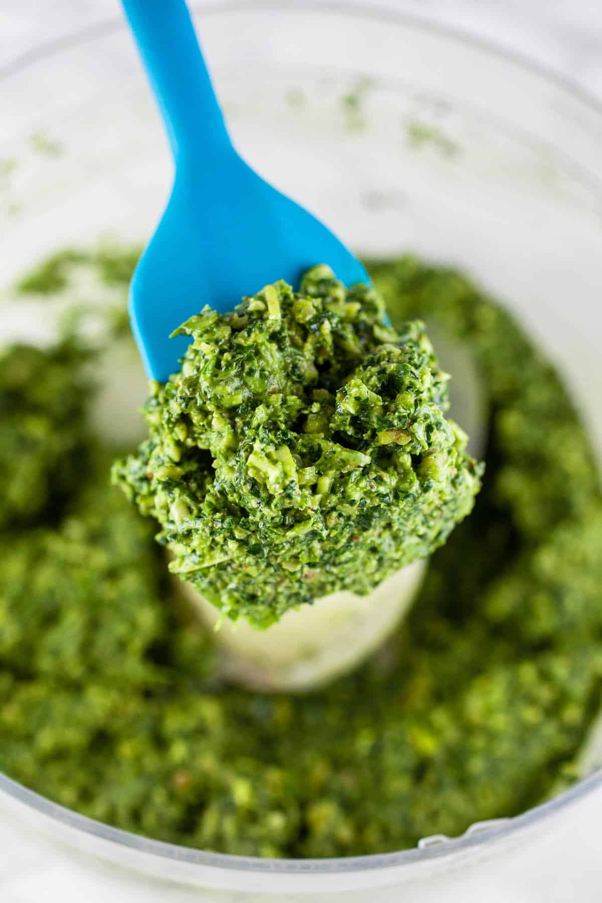 Spinach walnut pesto on blue spatula lifted from food processor.