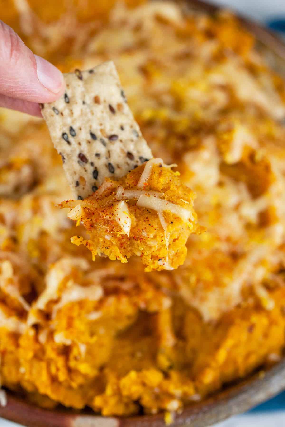 Roasted butternut squash Gruyere dip on cracker.