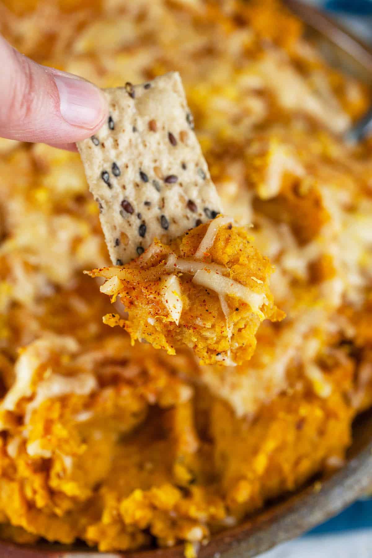 Roasted butternut squash cheese dip on cracker.