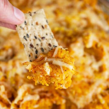 Roasted butternut squash cheese dip on cracker.