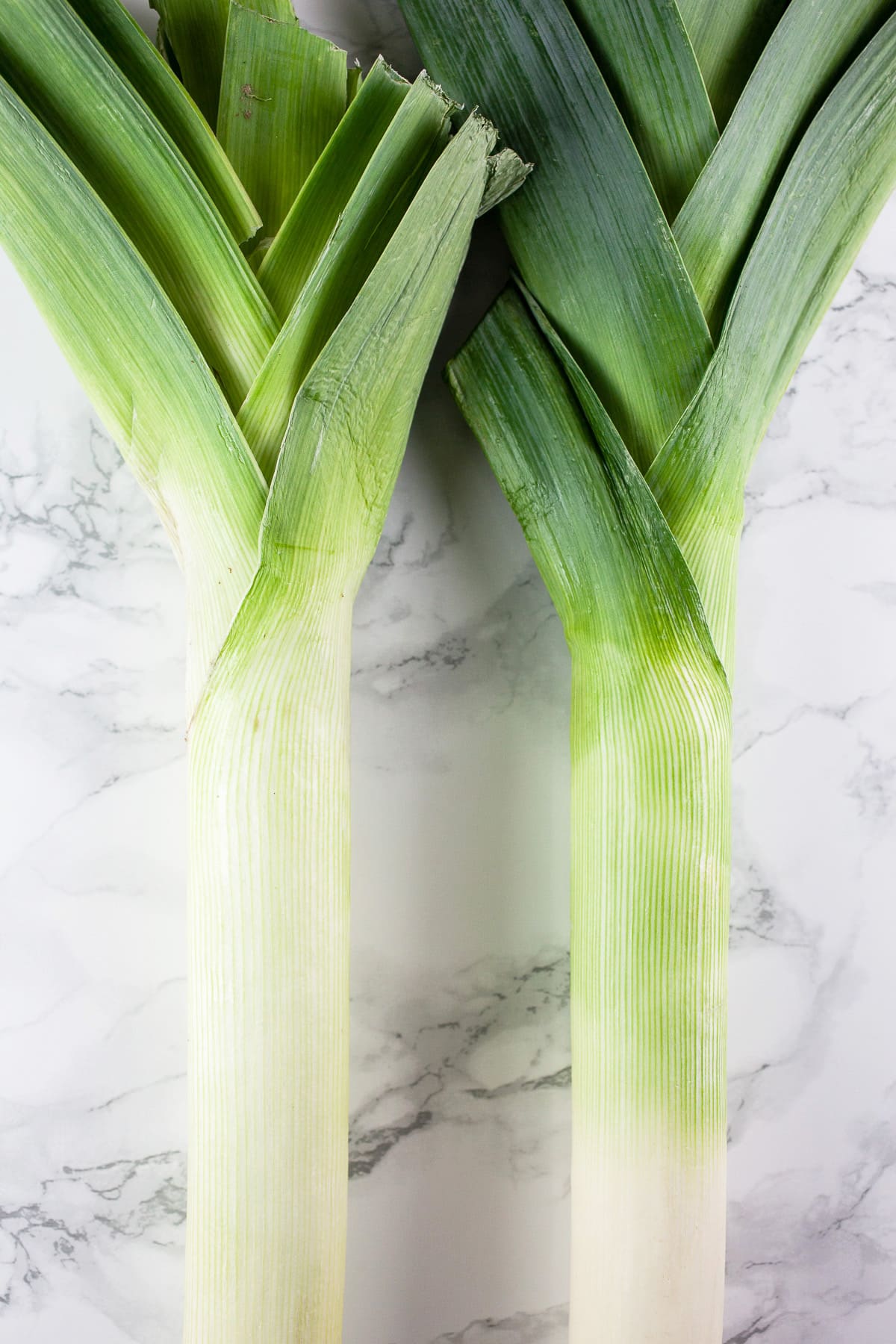 Two whole leeks on white surface.