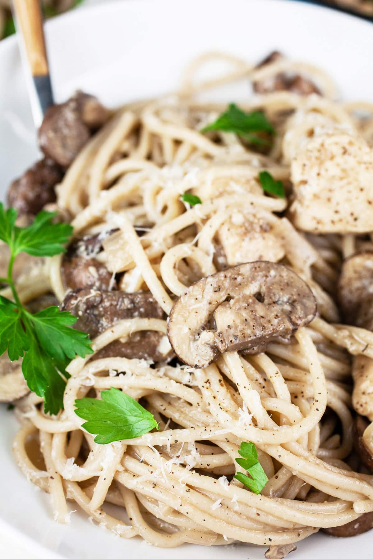 Chicken marsala pasta with fresh parsley in white bowl.