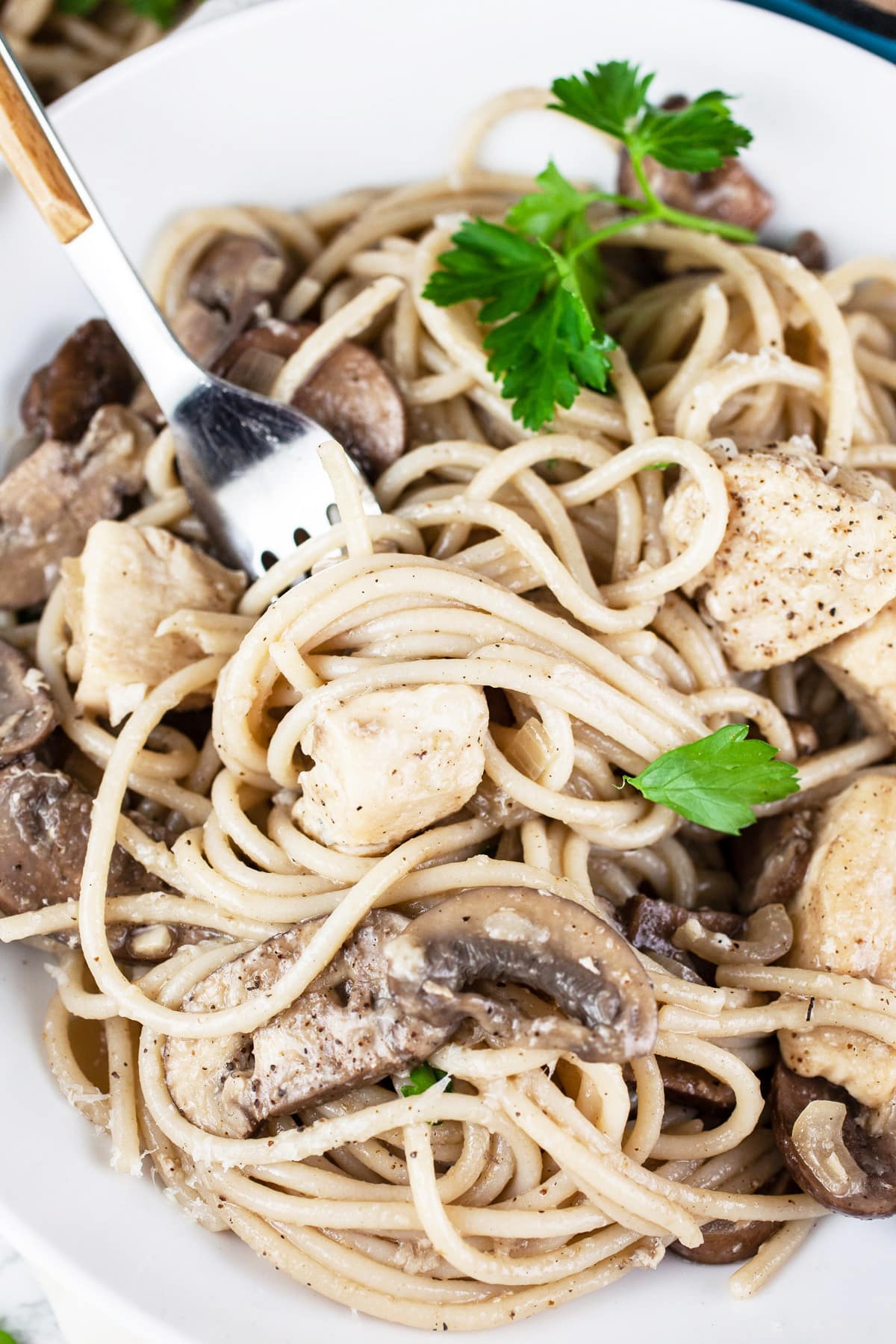 Chicken marsala pasta with fresh parsley in white bowl.