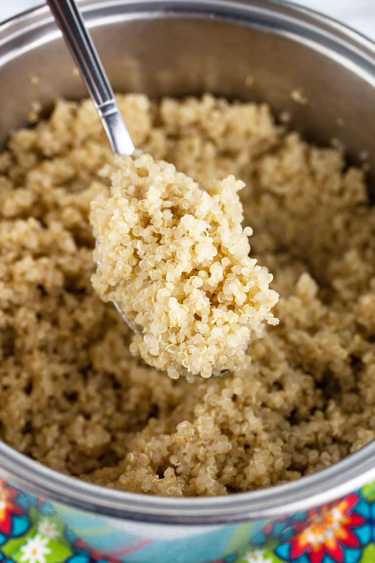 Scoop of cooked quinoa lifted from sauce pan with spoon.
