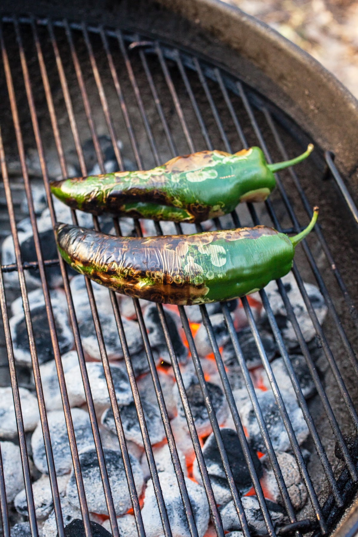 Roasted poblano peppers on charcoal grill.