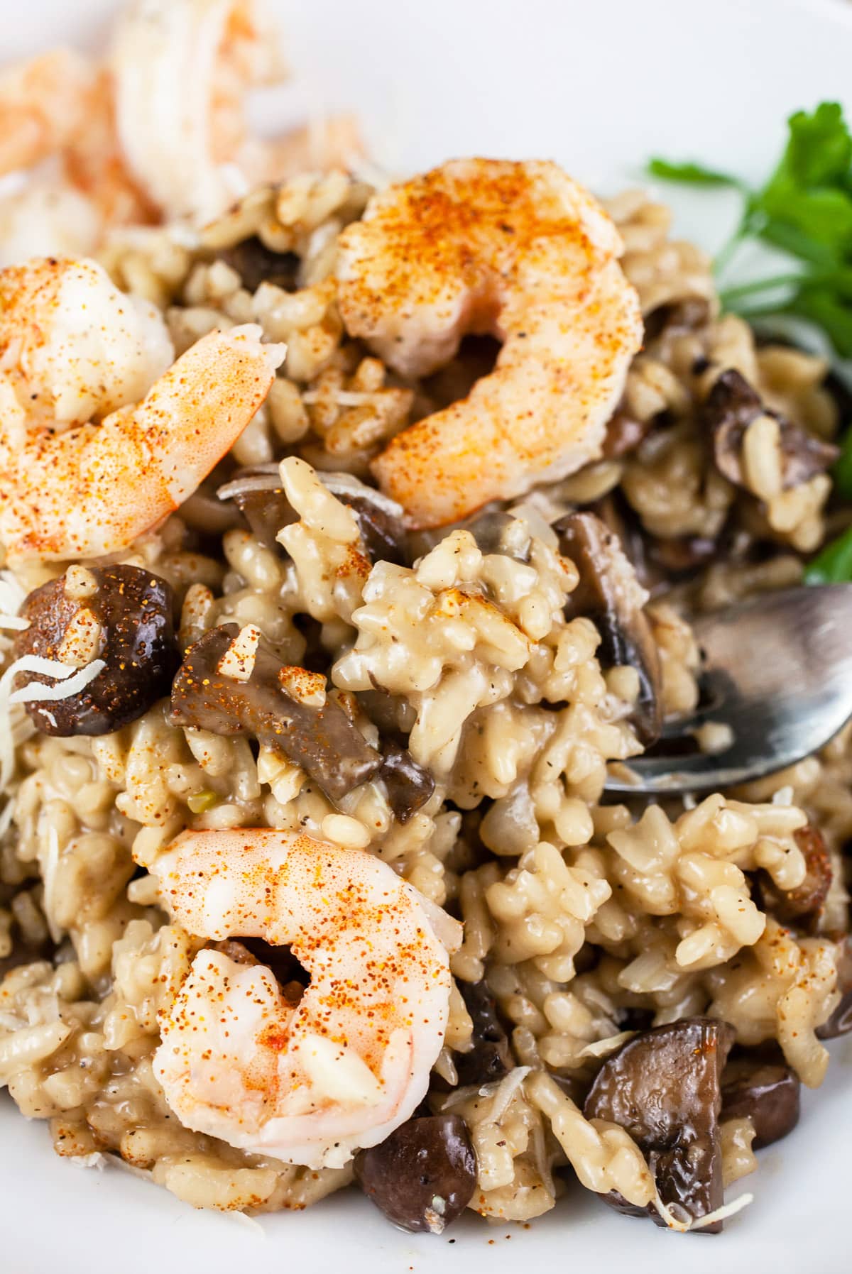 Mushroom shrimp risotto in white bowl with fork.