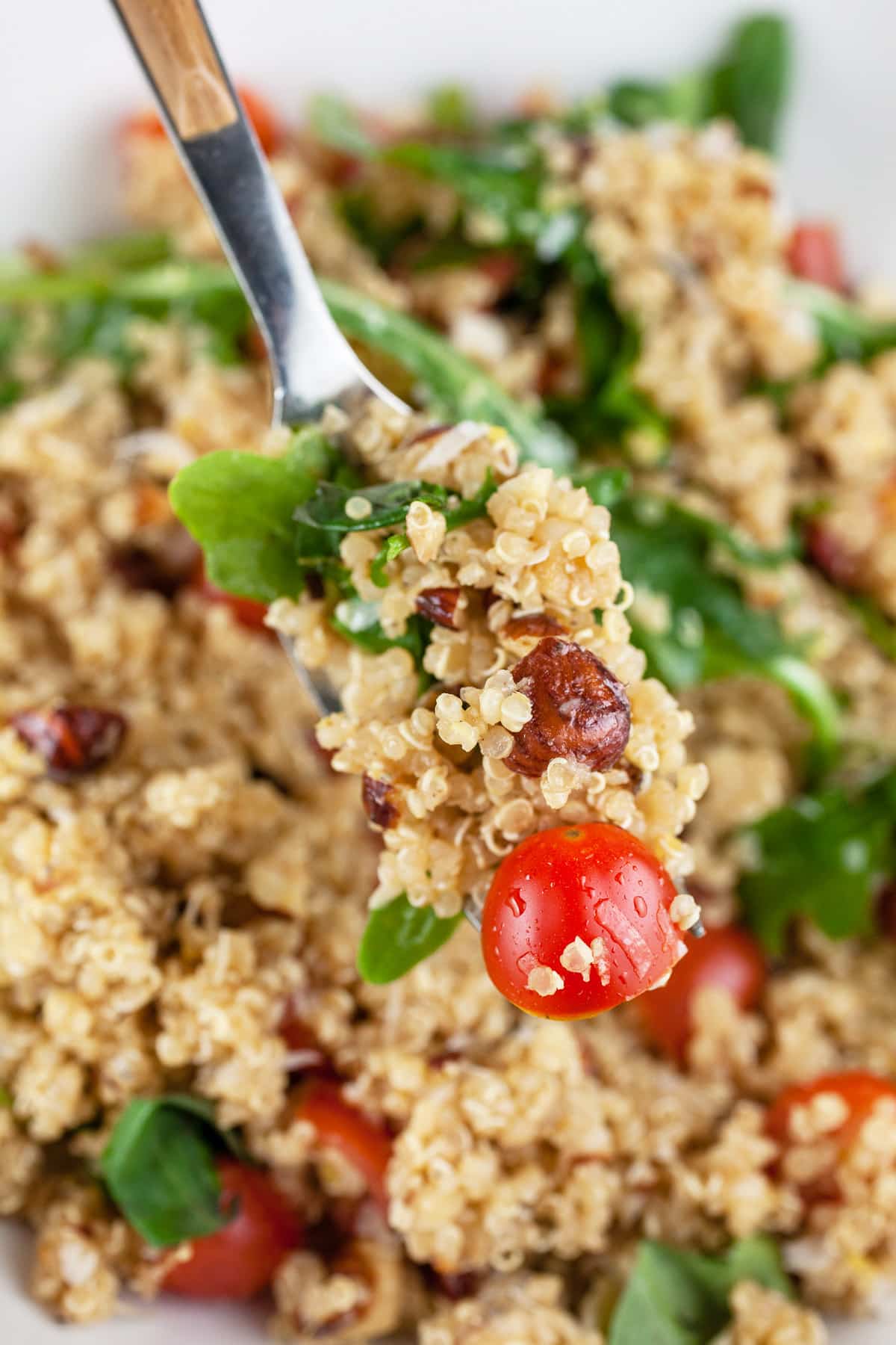 Forkful of Italian quinoa salad lifted from white bowl.