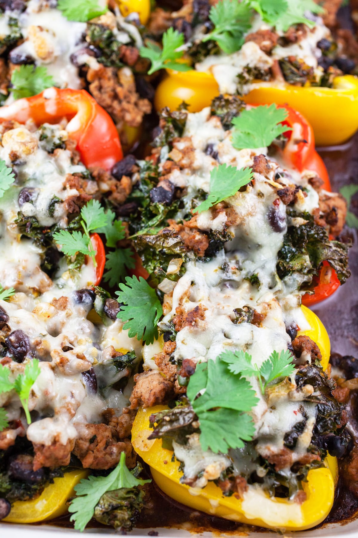 Southwest turkey stuffed peppers with cheese and cilantro in baking dish.