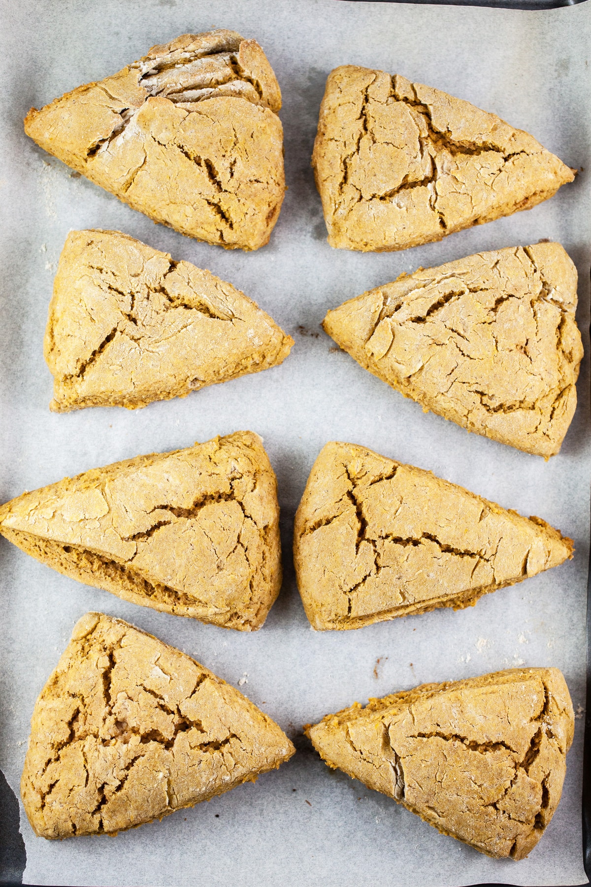 Baked scones on baking sheet lined with parchment paper.