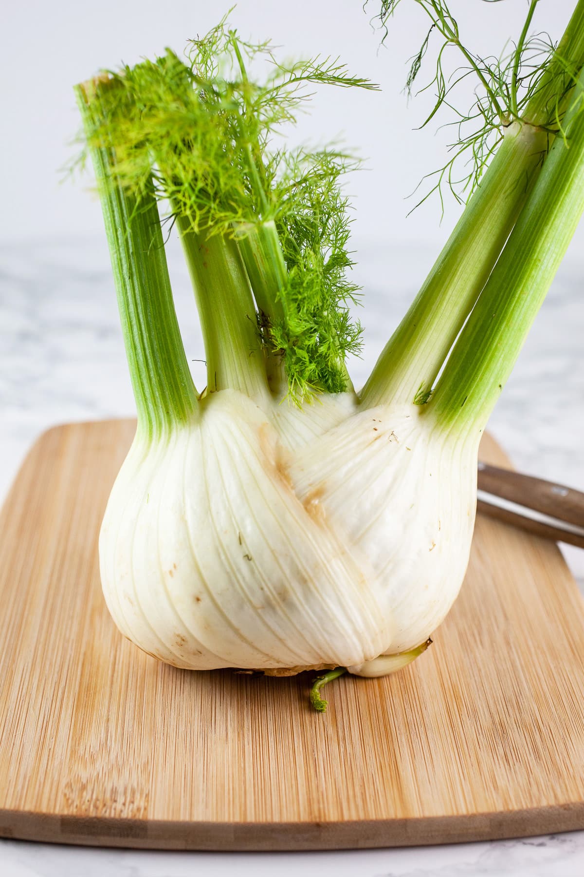 Whole fennel bulb on wooden cutting board with knife.